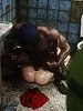She merely expected a quick round of sex - Wild Suzi's Uncotrollable Lust by Jared999d